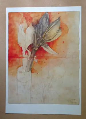 Bruno Bruni - Bruno Bruni - " AMARYLLIS II " - Kleuren Offset-lithografie - handgesigneerd kopen? Bied vanaf 50!