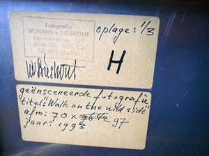 Wijnand van Lieshout - Walk on the wild side -1993- kopen? Bied vanaf 55!