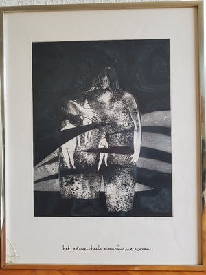 Ans Wortel - het vlezen huis waarin we wonen kopen? Bied vanaf 45!