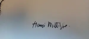 Geert Jan Jansen - Schilder & Kunstvervalser -potloodgesigneerde Litho Matisse "femme séduisante " kopen? Bied vanaf 30!