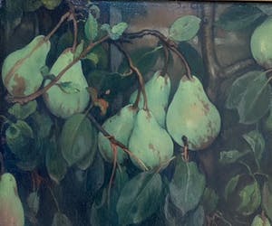 Jacobus van Looy - Peren kopen? Bied vanaf 8000!