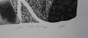 Henri de Haas - Litho: vrouw met hond VI - 1968 kopen? Bied vanaf 39!