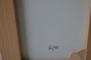 Toon van Driel - Vlinder - Giclée - ingelijst - 55 ex. kopen? Bied vanaf 50!