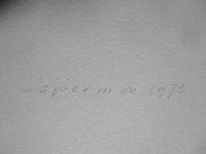 Kees Spermon - Litho "Conversation piece green" kopen? Bied vanaf 1!