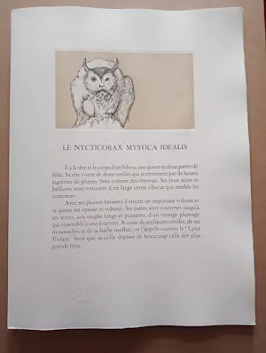 Leonor Fini - Leonor Fini Ets Le Nycticorax Mystica Idealis surrealisme 75 kopen? Bied vanaf 75!
