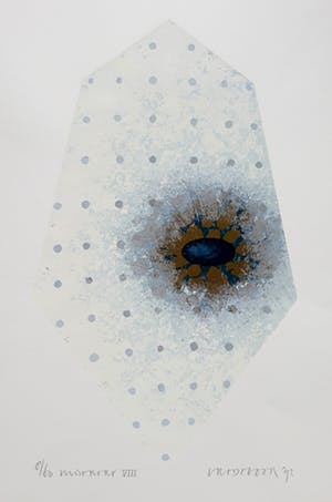 Bert Vredegoor - Mist…, zeefdruk kopen? Bied vanaf 30!