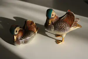 Elli Malevolti - 2 Manderijn eenden kopen? Bied vanaf 100!