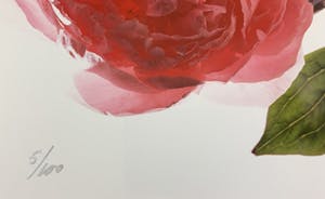 Paul Huf - C-print - 'Peonies' - 1988 (INGELIJST) kopen? Bied vanaf 150!