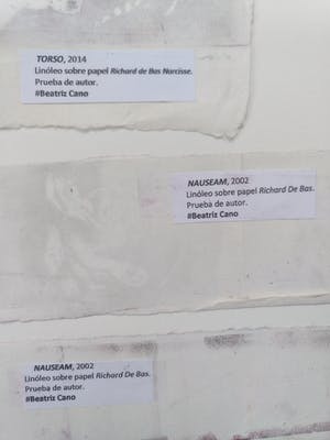 Niet of onleesbaar gesigneerd - "Torso" & "Nauseam" (2x) kopen? Bied vanaf 1!