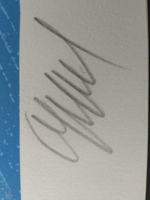 Karel Appel - nr. 117/175 kopen? Bied vanaf 350!