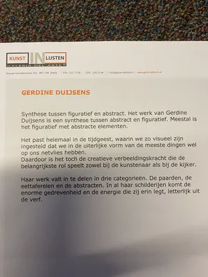 Gerdine Duijsens-Kroeze - Dress to Impress kopen? Bied vanaf 1250!