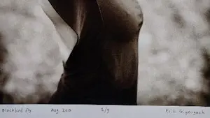 Erik Gigengack - ‘Blackbird fly' kopen? Bied vanaf 25!