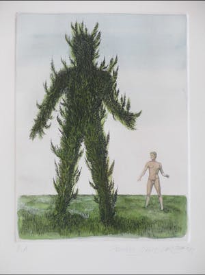 Jean Paul Vroom - Metamorfose - Kleurets kopen? Bied vanaf 1!