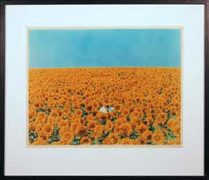 Jean Ruiter - Foto, Sunflowermask - Ingelijst verkocht voor € 35!