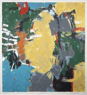 Antony de Baat - Zeefdruk, Jade - Ingelijst (Groot) kopen? Bied vanaf 35!