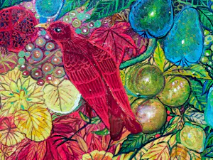 Claudine Suret-Canale - De rode vogels kopen? Bied vanaf 300!