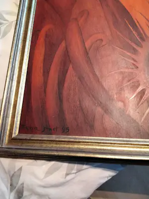 Florent Smet - Vleesetende planten kopen? Bied vanaf 450!