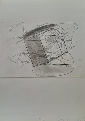 Servie Janssen - Steen kopen? Bied vanaf 60!