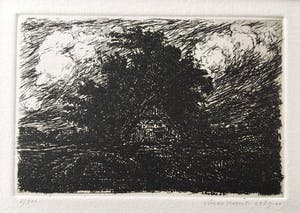 Simon Koene - Huisje met bomengroep bij stormachtig weer kopen? Bied vanaf 20!