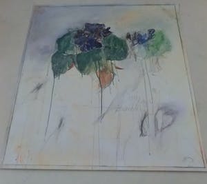 Bruno Bruni - FIORE (Kleurenlitho - handgesigneerd) ! Nu laatste keer: vanaf €1 !! kopen? Bied vanaf 1!