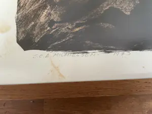 Jan Michielsen - Kwallen kolonie kopen? Bied vanaf 100!