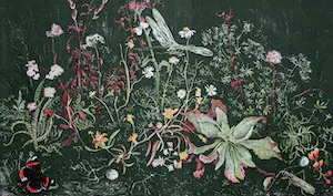 Wim Schuhmacher - Bloemen, vlinders en insecten, Kleurenlitho kaufen? Bieten Sie von 35!