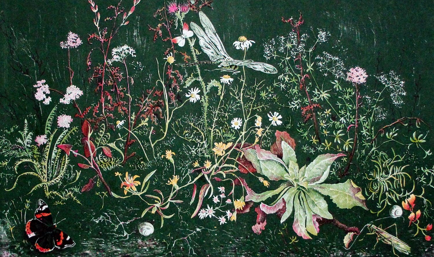 Wim Schuhmacher - Bloemen, vlinders en insecten, Kleurenlitho kopen? Bied vanaf 35!