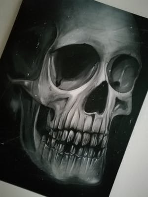 Niet of onleesbaar gesigneerd - Skull kopen? Bied vanaf 10!
