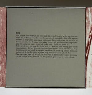 Jerome Symons - Ruis, no. 128/450, 1987, gesigneerd kopen? Bied vanaf 20!