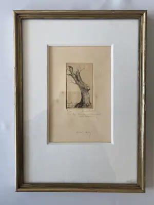 Dirk Baksteen - Rode Wilg kopen? Bied vanaf 40!