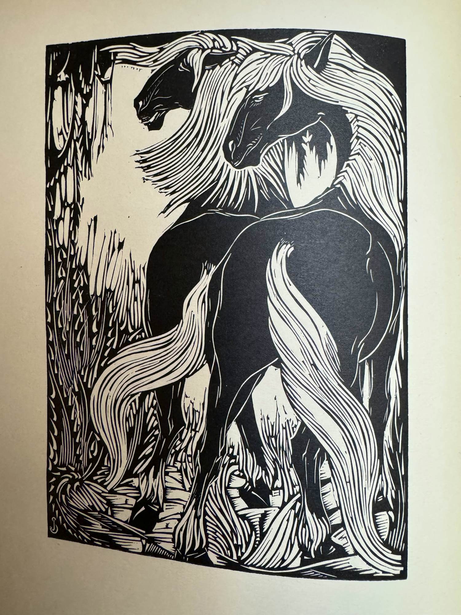 Jan Schonk - Dierenrijk kopen? Bied vanaf 120!