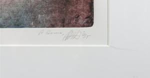 Ad Arma - Kleurenets, De Jaarring mei - Ingelijst kopen? Bied vanaf 70!