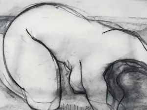 AcheterNiet of onleesbaar gesigneerd - Mooie houtskooltekening op papier "liggend vrouwelijk naakt" gesigneerd? Enchérissez de 10!