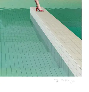 Mr. Strange - La Piscine de l'Hôtel kopen? Bied vanaf 80!