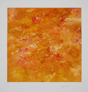 Armando - Kleurengiclee LANDSCHAP Handgesigneerd GROOT kopen? Bied vanaf 159!