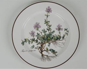 Villeroy & Boch - Botanica bord Thymus kopen? Bied vanaf 1!