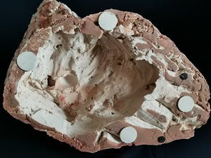 Niet of onleesbaar gesigneerd - Fraai beeld van naakte liggende dame kopen? Bied vanaf 1!