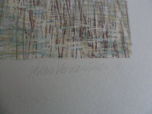 Lies Verdenius - Litho, Titel, "Neergestorte vlieger". kopen? Bied vanaf 25!