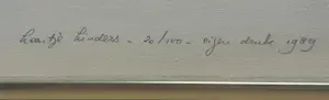 Leentje Linders - Op vleugels naar een nieuwe tijd kopen? Bied vanaf 35!