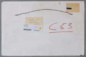 Niet of onleesbaar gesigneerd - Gemengde techniek op paneel kopen? Bied vanaf 1!