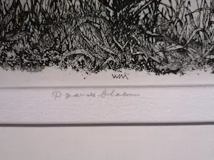 Willem Minderman - paardenbloemen kopen? Bied vanaf 10!