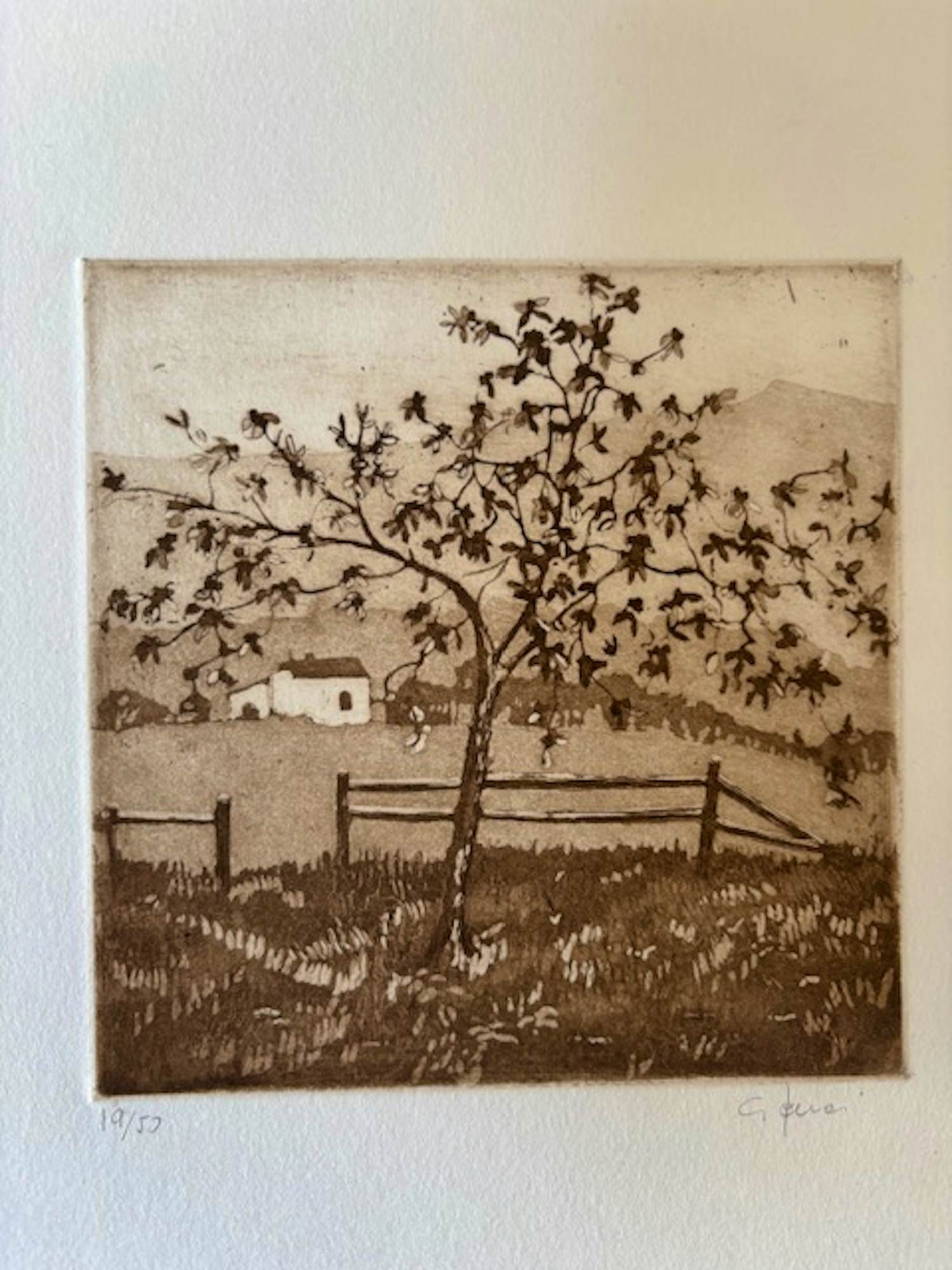 Giorgio Ferrari - Bloesemboom in berglandschap kopen? Bied vanaf 25!