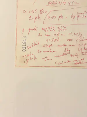 Panamarenko - Vliegend tapijt kopen? Bied vanaf 175!