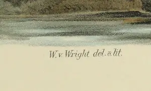 Wilhelm von Wright - Litho, Tringa Alpina, uit Svenska foglar (...) kopen? Bied vanaf 1!