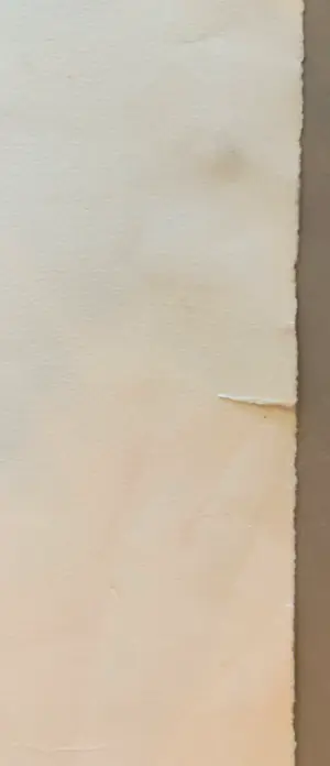 Heinz Mack - Zeefdruk: flammenhand kopen? Bied vanaf 450!