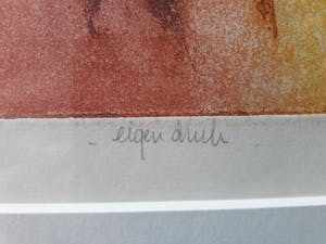 Ton Diekstra - Kleurenets eigen druk. Centauer en maenode 1 kopen? Bied vanaf 35!