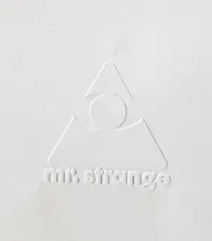 Mr. Strange - Het meisje in het blauw kopen? Bied vanaf 80!