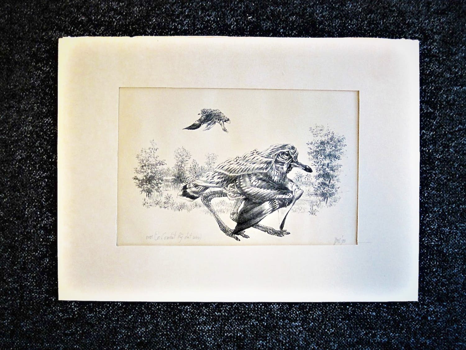 Peter Vos - Vrij zeldzame Litho met opdracht "voor Cor (omdat hij dat wou)" 1973 verkocht voor € 43!