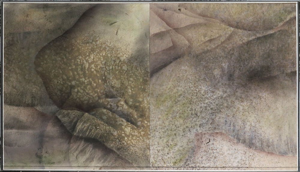 Sara Garden Armstrong (1943)