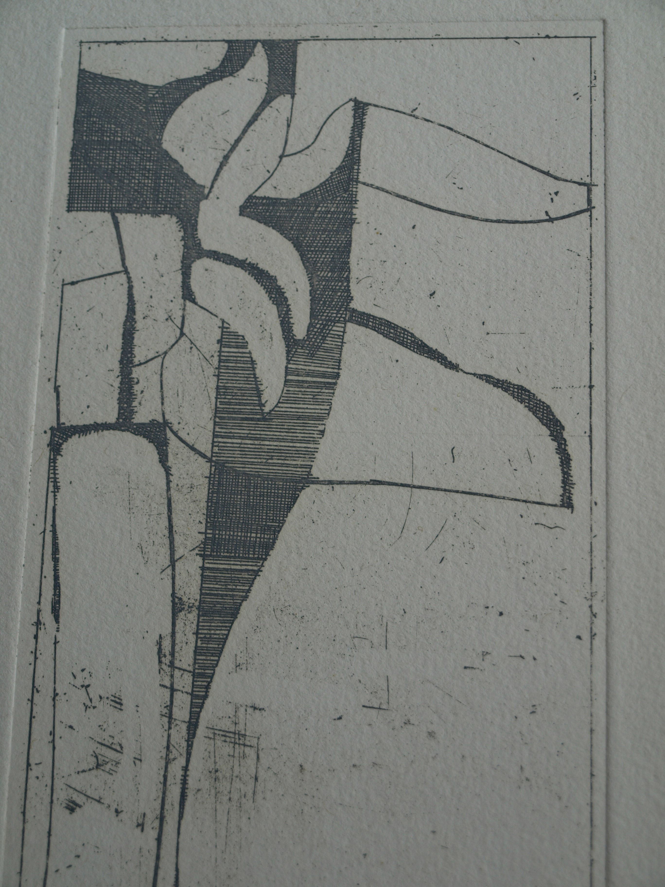 Jan de Hamer - Ets, Palm – gesigneerd – ca 1975 kopen? Bied vanaf 1!